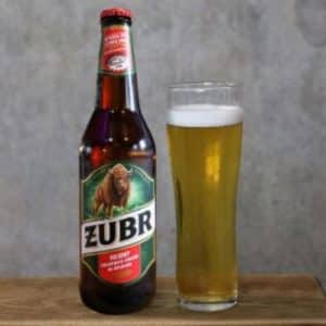 Zubr